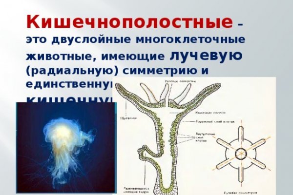 Рабочий кракен